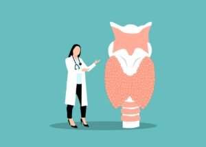 endocrinologist, thyroid, gland, hypothyroidism, doctor, examination, health, laboratory, hyperthyroidism, science, medicine, hospital, disease, neck, climax, hormones, analyzes, goiter, human, therapy, prevention, clinic, medication, cartoon, check, thyroid, thyroid, thyroid, thyroid, thyroid